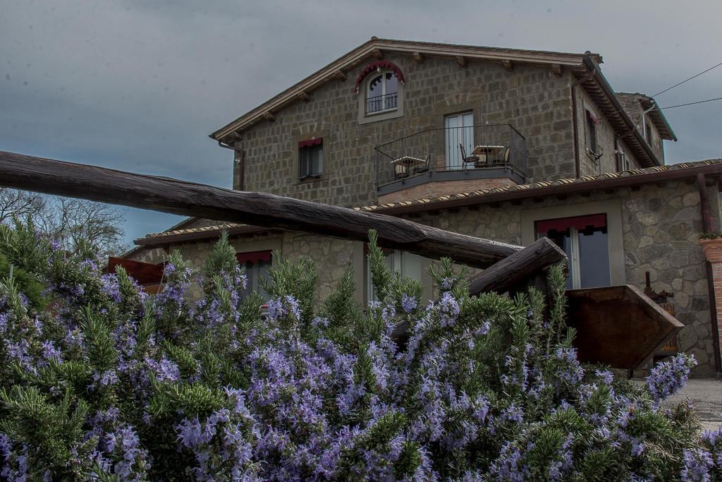 Agriturismo Specchio Del Lago Монтефиасконе Екстериор снимка